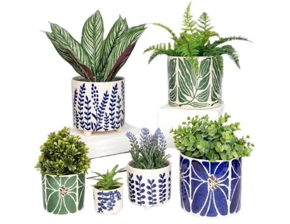 Garden Pots in Chennai