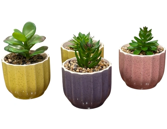 Ceramic Pot Manufacturers in Chennai