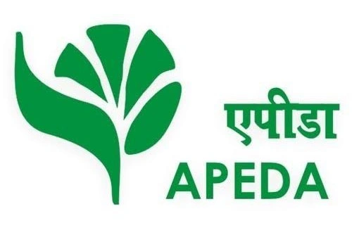 Air Cargo services in Chennai