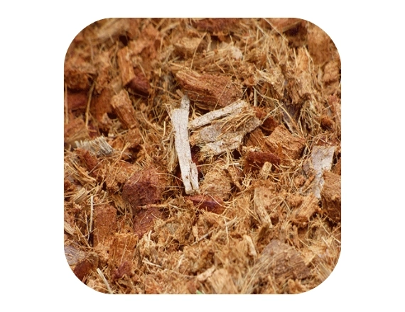 Coir Mulch Manufacturers in Chennai