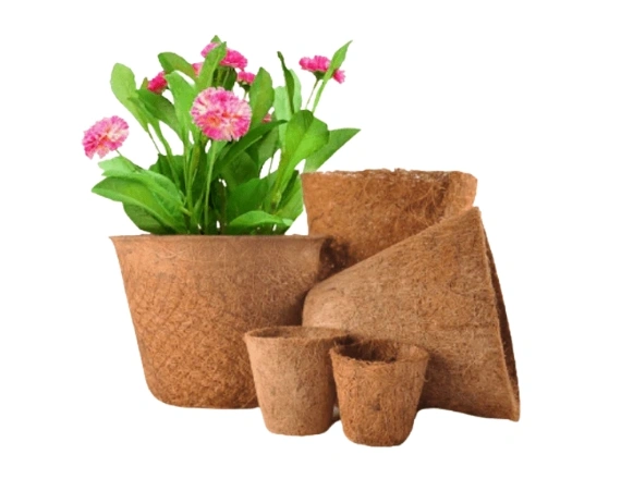 Coir Pot Manufacturers in Chennai