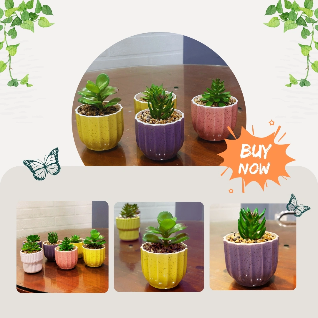 Palm Product Manufacturers in Chennai