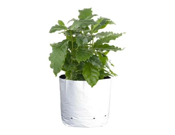 Kitchen Garden Grow Bag Manufacturers in Chennai