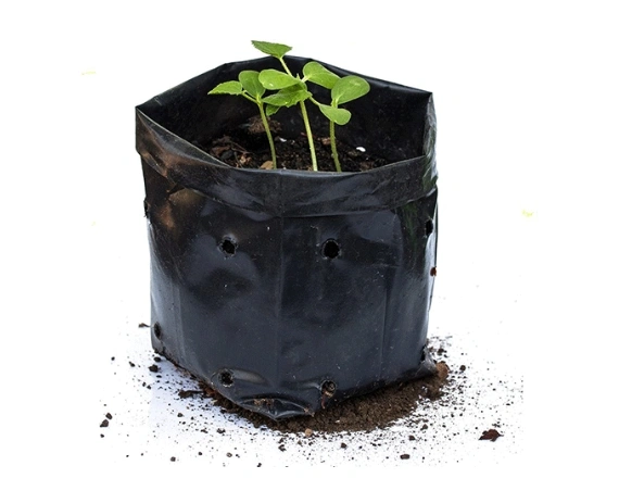 Open Top Grow Bag Manufacturers in Chennai