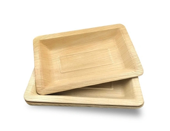Palm Leaf Rectangular Plate Manufacturers in Chennai