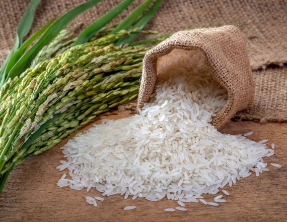 Rice Manufacturers in Chennai