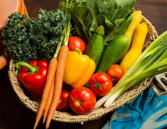 Vegetable Manufacturers in Chennai